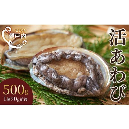 ふるさと納税 香川県 坂出市 瀬戸内あわび（活）500ｇ（1個90ｇ前後）