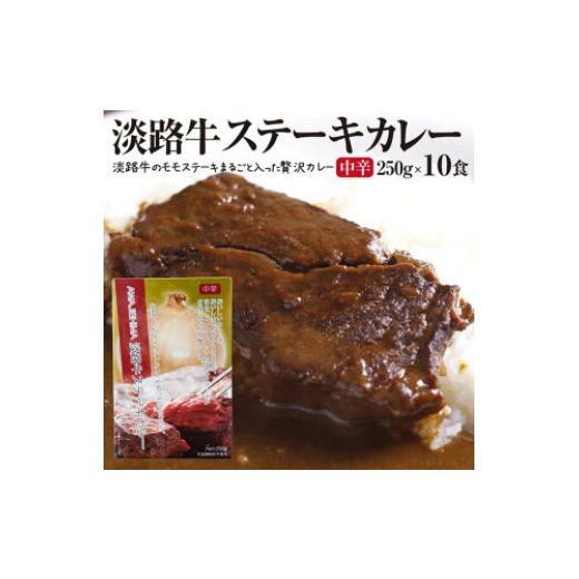 ふるさと納税 兵庫県 南あわじ市 淡路牛ステーキカレー（中辛・250g）×10食セット