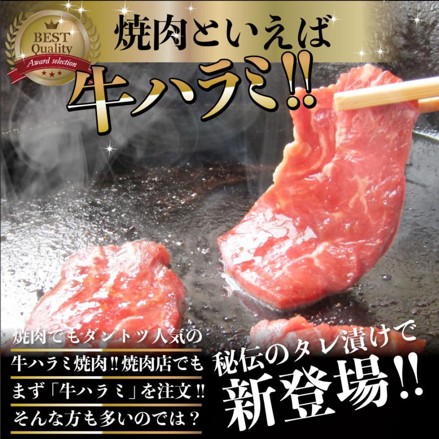 牛ハラミ焼肉（タレ漬け）500g（250g×2） タレ 赤身 はらみ 秘伝 焼肉 やきにく ハラミ アウトドア お家焼肉 BBQ キャンプ キャンプ飯