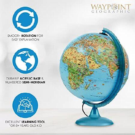 Waypoint Geographic Safari Explorer Animals Globe, World Globe, Illuminated Desktop Globe with Blue Physical Earth and 100s of Illustrated Animals