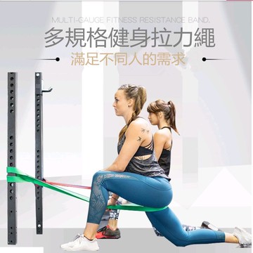 【Rising】(多功能環狀彈力帶)現貨六種規格 阻力帶 重訓阻力繩 拉力帶 拉力繩 彈力繩 彈力帶 TRX 瑜珈墊