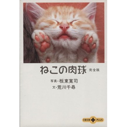 ねこの肉球　完全版 完全版 文春文庫ＰＬＵＳ／荒川千尋(著者),板東寛司