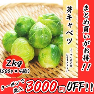 芽キャベツ 冷凍 野菜 2kg (500g×4袋) 料理店でも使われる業務用 キャベツ
