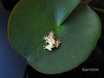 金色小青蛙耳針