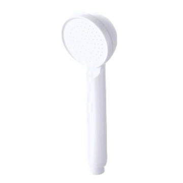 LEADER 麗達 單段大流量可拆洗蓮蓬頭 LBE-6051  珍珠白  1個