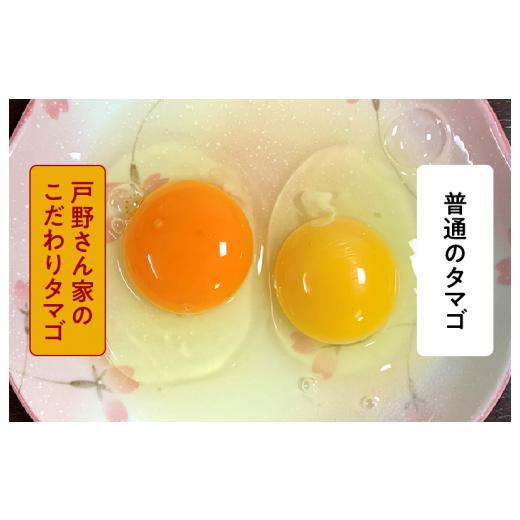 ふるさと納税 大阪府 泉佐野市 とことん餌にこだわった “戸野さん家のこだわりタマゴ” とのたま (計90個・30個×全3回）