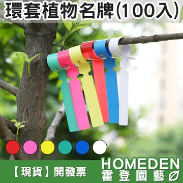 【隔日到貨】環套植物名牌 100入 多肉植物名牌 植物名牌 植物標籤 花牌 園藝標籤 防水標籤【HOMEDEN霍登園藝】