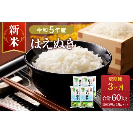 ふるさと納税 ※2023年12月下旬スタート※ はえぬき60kg（20kg×3ヶ月）定期便 山形県産 山形県河北町