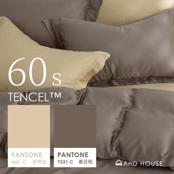 AnD House 天絲60支-香谷棕 ✖ 香檳金 雙色配-床包被套組｜安庭家居 素色 混搭