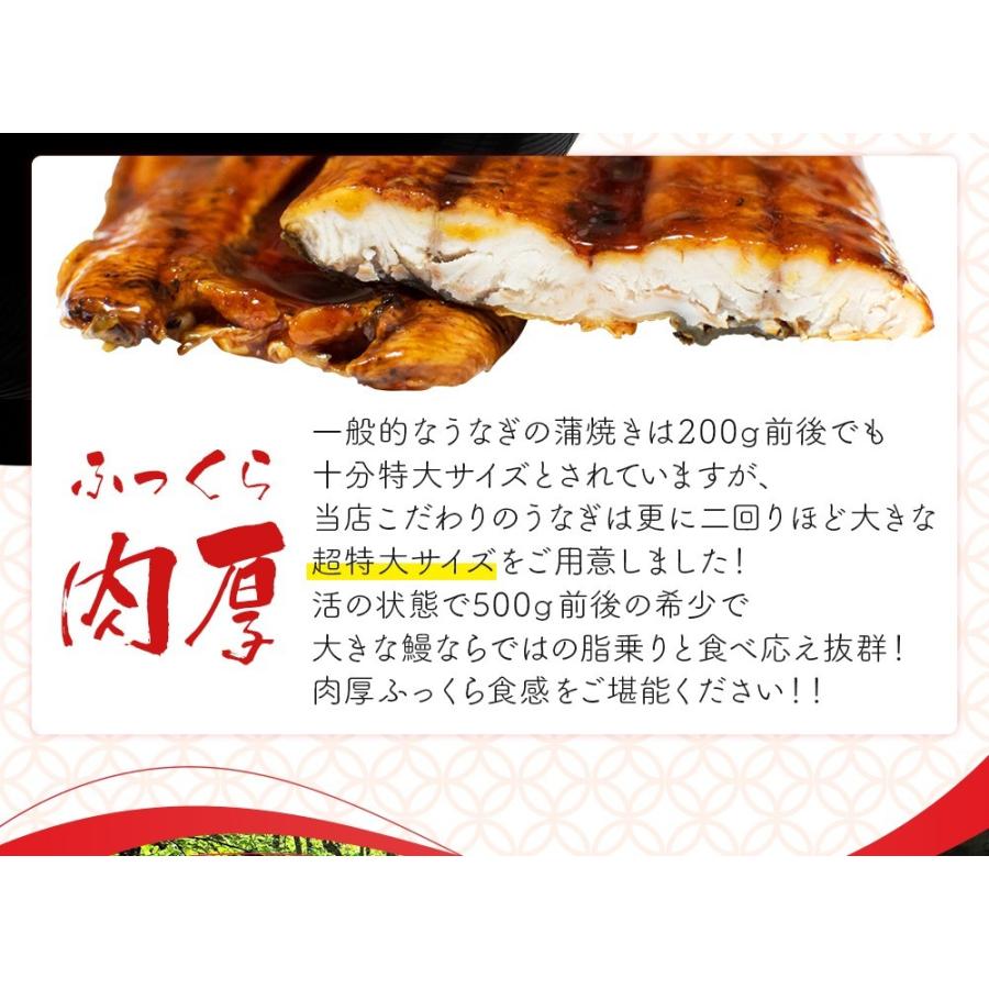 うなぎ 蒲焼き 国産 ではございませんがふっくら柔らか 超特大 250g前後 ウナギ 鰻 2〜3人前 たれと山椒付き 土用 丑の日 長焼き 訳あり 肉厚