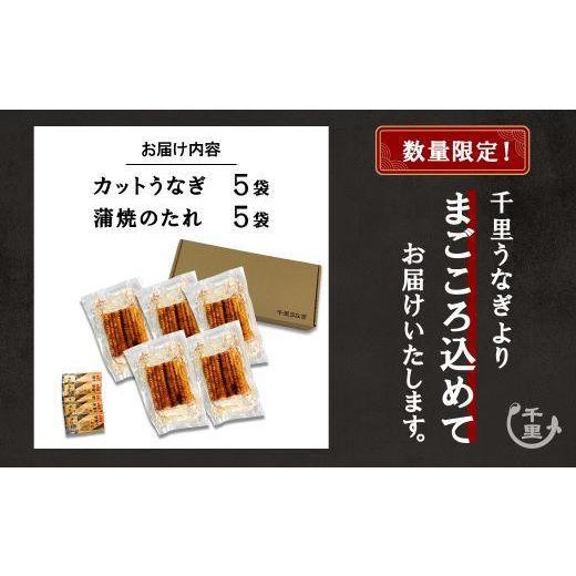 ふるさと納税 鹿児島県 大崎町 鹿児島県産うなぎ　カットうなぎ5袋（合計300g以上）