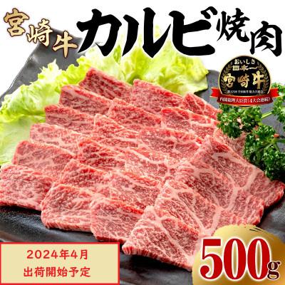 ふるさと納税 宮崎市 宮崎牛 A4〜A5 カルビ 焼肉・バーベキュー用 500g(宮崎市)