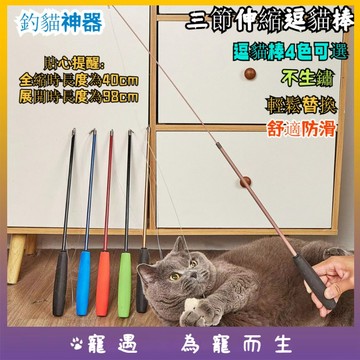 台灣出貨💕逗貓棒 貓咪玩具 貓玩具 逗貓 逗貓神器 逗貓玩具 伸縮逗貓棒 自動逗貓棒 逗貓棒羽毛 釣竿逗貓棒 長逗貓棒