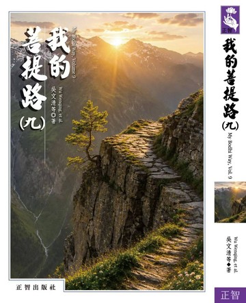 我的菩提路  第九輯