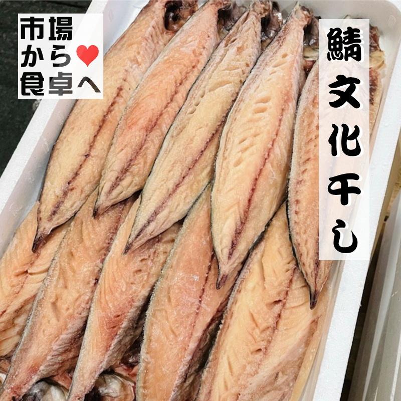 さば文化干し 鯖の干物 10枚(1枚当たり約120g)脂のっています