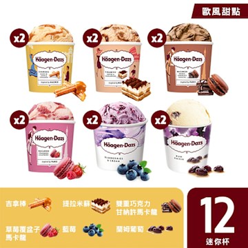 哈根達斯 歐風甜點系列迷你杯12入組100ml(吉拿棒2/提拉米蘇2/巧克力馬卡龍2/草莓覆盆子馬卡龍2/藍莓2/蘭姆葡萄2)