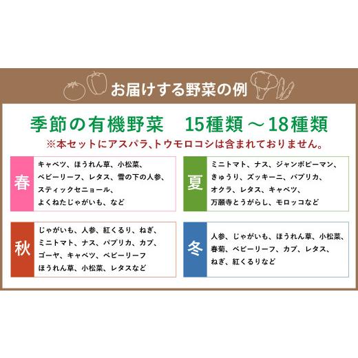 ふるさと納税 北海道 北広島市 季節の野菜 詰め合わせ 15種類〜18種類程度 〜有機野菜セットB〜 北海道北広島市