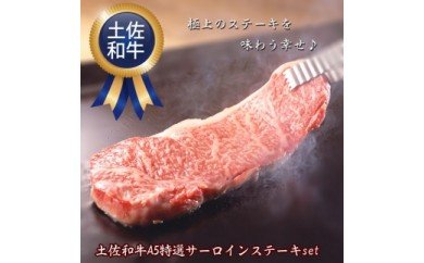 肉 牛肉 ステーキ A5土佐和牛 特選サーロインステーキ 300g×2枚セット〈高知市共通返礼品〉お歳暮 御歳暮