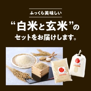 宮崎ヒノヒカリ 延岡産 白米と白い玄米セット 合計5.8kg　N0149-A148