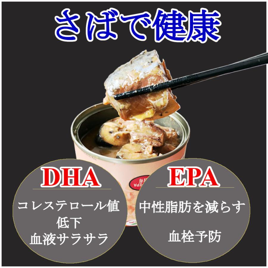 鯖缶 味噌煮 150gx48缶 サバ 缶詰 みそ煮 さば缶 さばかん 業務用 おつまみセット まとめ買い 送料無料