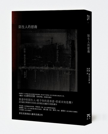 陌生人的慰藉[二手書_普通]