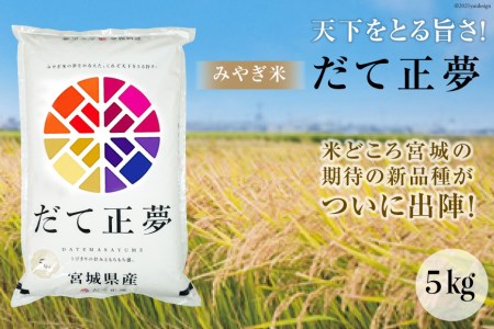 みやぎ米「だて正夢」5kg（精米） [菊武商店 宮城県 気仙沼市 20562209]