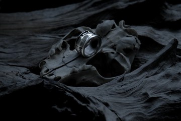 【山骸紀】崇山峻嶺I—骨骼戒指