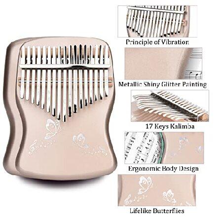 ALAUTRY Kalimba Thumb Piano 17 Keys, Portable Mbira Finger Piano with Music Books ＆ Tuning Hammer, Gifts for Kids Adults Beginners Professional…