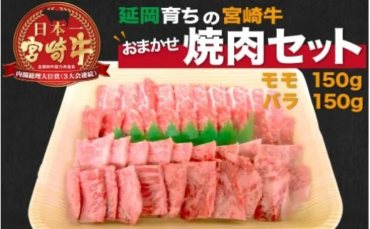 宮崎牛　おまかせ焼肉セット　N023-ZA304