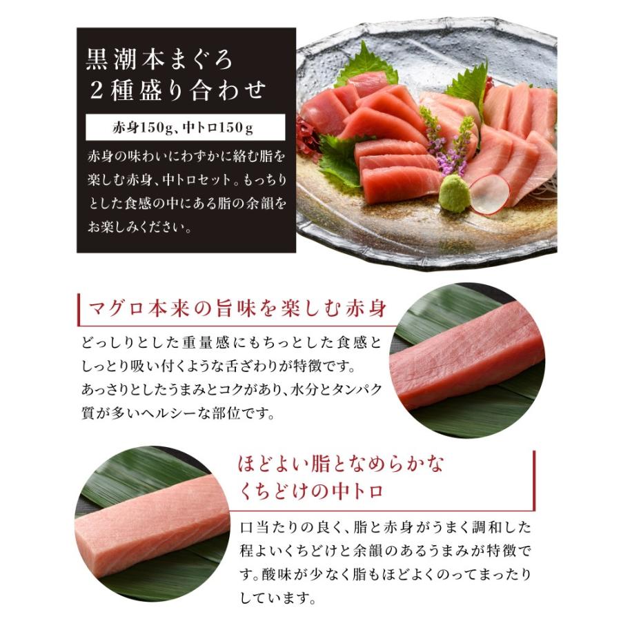 黒潮本まぐろ　２種盛り合わせ（中トロ150g　赤身150g）