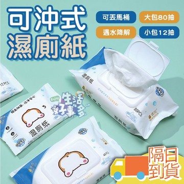 【隔日到貨】可降解濕廁紙 濕紙巾 寶寶濕巾 無酒精濕紙巾 濕巾 可沖式濕式衛生紙 如廁濕紙巾 可沖式 濕廁紙 廁紙濕巾