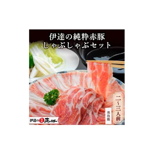 ふるさと納税 宮城県 登米市 しゃぶしゃぶセット（2〜3人前）