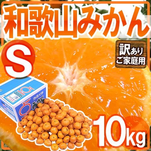 みかん ”和歌山みかん” 訳あり Sサイズ 約10kg 送料無料