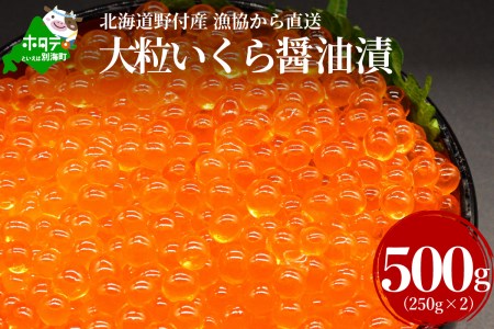 いくら！いくら！いくら！北海道産いくら醤油漬け 500g　（ いくら イクラ 鮭卵 醤油漬け 北海道 野付 別海町 人気 ふるさと納税 ）