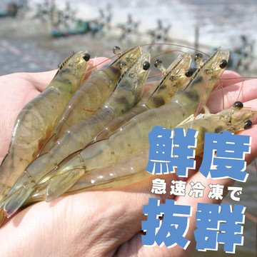 【勝崎生鮮】頂極鮮凍藍鑽蝦2盒組(1000公克/1盒)