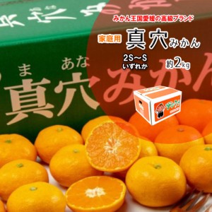 真穴みかん 家庭用 みかん 真穴 約2ｋｇ S～2S 小玉 送料無料