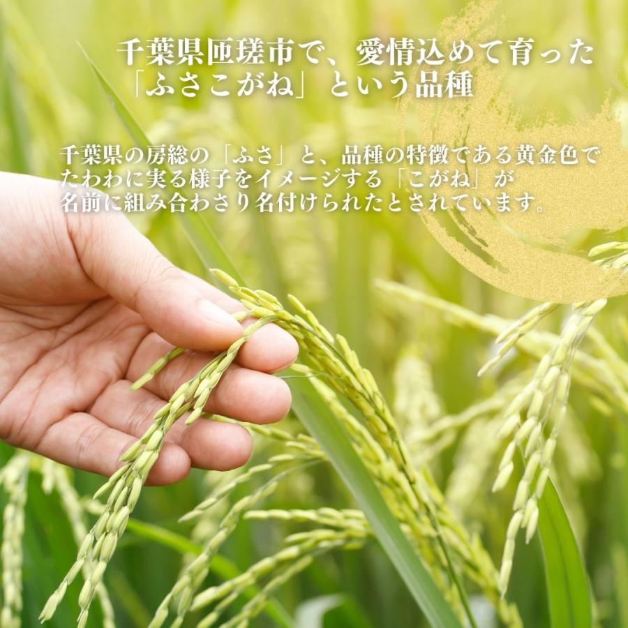 令和5年度　新米ふさこがね（玄米）10kg　千葉県産　国産米　米　送料無料