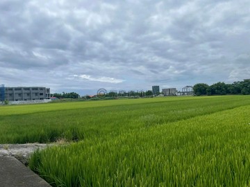 宜蘭五結鄉近綠舞莊園稀有老農農地｜宜蘭縣五結鄉大眾一段