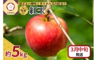  りんご 5kg 紅玉 青森