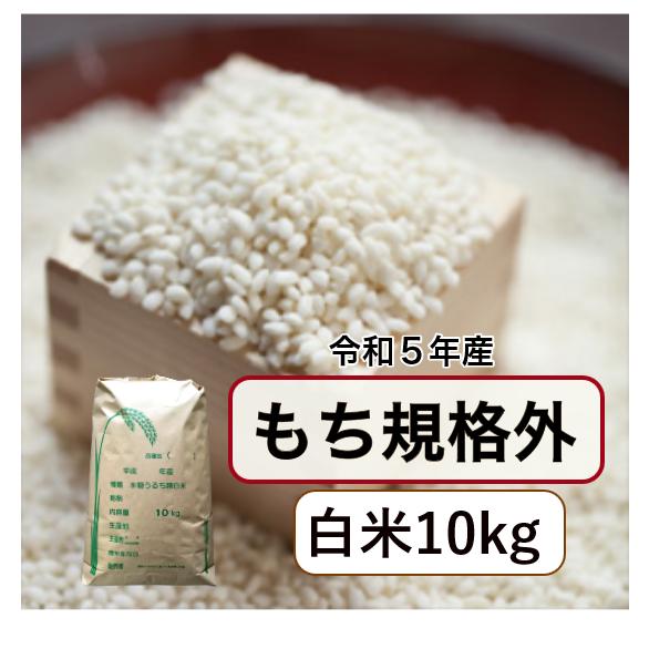 もち米 10kg「5年産もち米 規格外 白米10kg」送料無料地域あり　訳あり