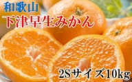 和歌山下津みかん約10kg(2Sサイズ) ★2023年11月中旬頃より順次発送