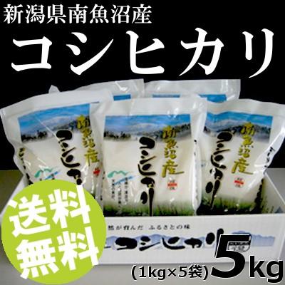 お米 5kg 白米 コシヒカリ 南魚沼産 精白米 1kg×5袋 送料無料 贈答品 お取り寄せ