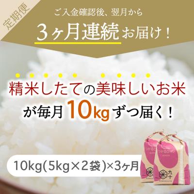 ふるさと納税 五所川原市  米 10kg つがるロマン 青森県産  定期便3回 10kg×3回