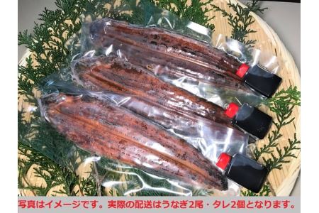 国産手焼き活け鰻蒲焼2尾◇