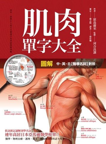 【電子書】圖解 肌肉單字大全