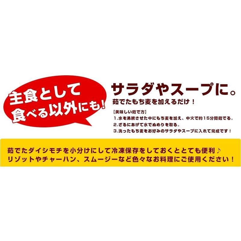 雑穀米本舗 もち麦 3kg(500g×6袋)