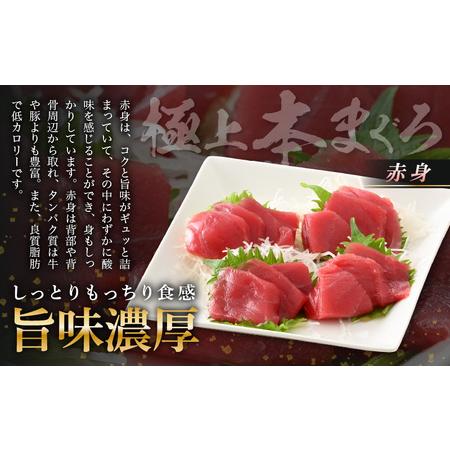 ふるさと納税 お刺身 セット サーモン 100g × 2P ＆ 本まぐろ 赤身 100g × 1P 【福井県 冷凍 小分け 刺身 アトランティックサーモン .. 福井県越前町