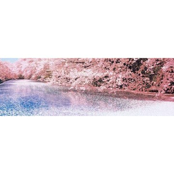 HC - 950片優質拼圖(臺灣製) - 世界風情系列 - 水岸的垂櫻 950-013