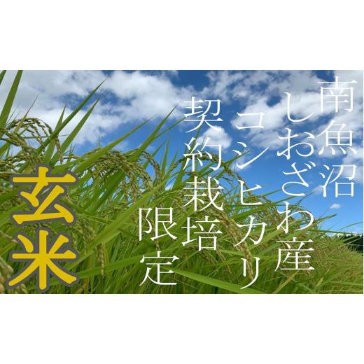 ふるさと納税 新潟県 南魚沼市 ●玄米● 生産者限定 南魚沼しおざわ産コシヒカリ