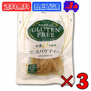 大潟村あきたこまち生産者協会 グルテンフリー スパゲティ 90g 3個 大潟村 おきたこまち グルテンフリー パスタ スパゲッティ グルテンフ